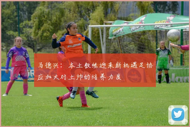 马德兴：本土教练迎来新机遇足协应加大对土帅的培养力度