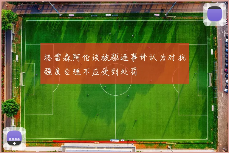 格雷森阿伦谈被驱逐事件认为对抗强度合理不应受到处罚