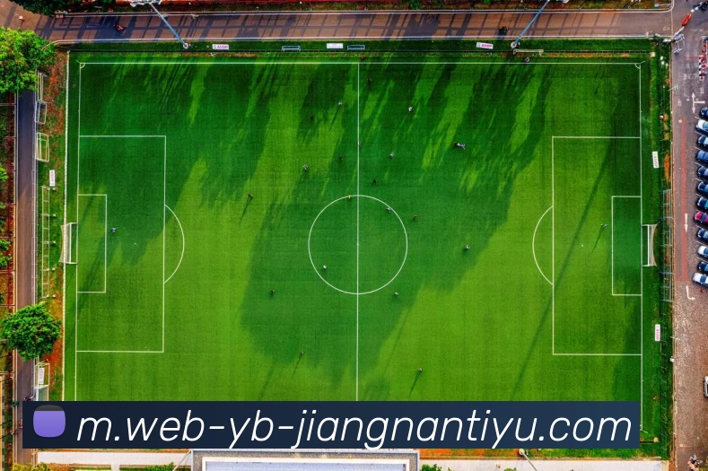 多媒体互动体验